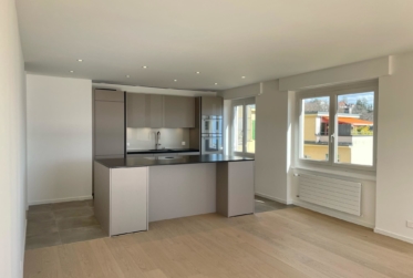 Très bel appartement de 6 pièces en attique – 150 m2 – avec terrasse