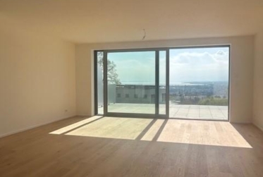 2.5 pièces en attique avec grande terrasse et vue sur le lac