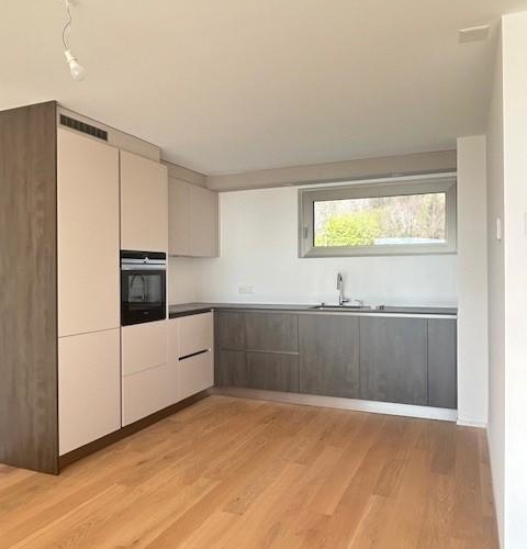 2.5 pièces en attique avec grande terrasse et vue sur le lac
