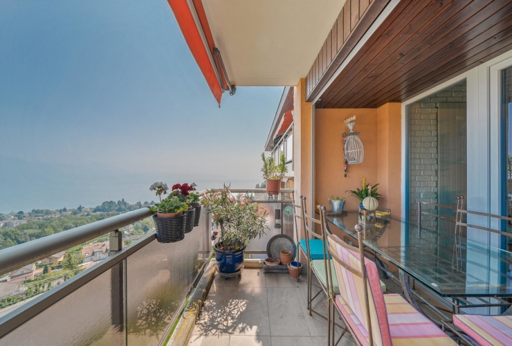 Charmant 3.5 pièces avec vue envoûtante sur le lac à Belmont-sur-Lausanne
