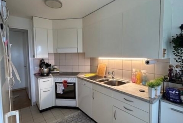 Appartement de 4 pièces à Crissier