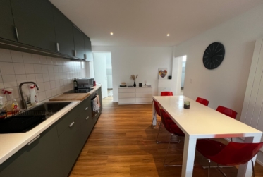Bel appartement de 4.5 récemment rénové avec dépôt et place de parc