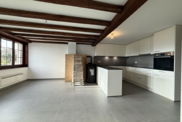 Bel appartement rénové avec jardin privatif