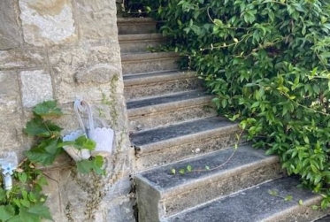 Appartement 3,5 pièces avec jardin à Renens