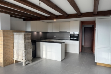 Bel appartement rénové avec jardin privatif