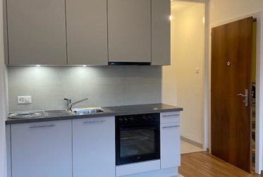 Appartement rénové de 1 pièce au rez-de-chaussée