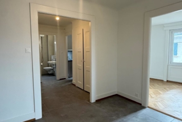 Lumineux appartement de 3.5 pièces entièrement rénové