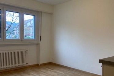 Appartement rénové de 1 pièce au rez-de-chaussée