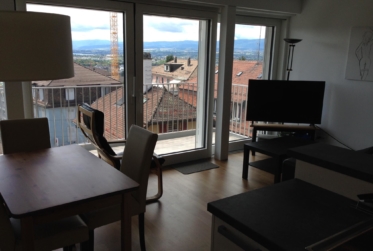 Appartement 2,5 pièces