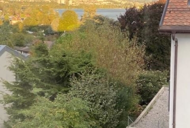 1 pièce avec mezzanine