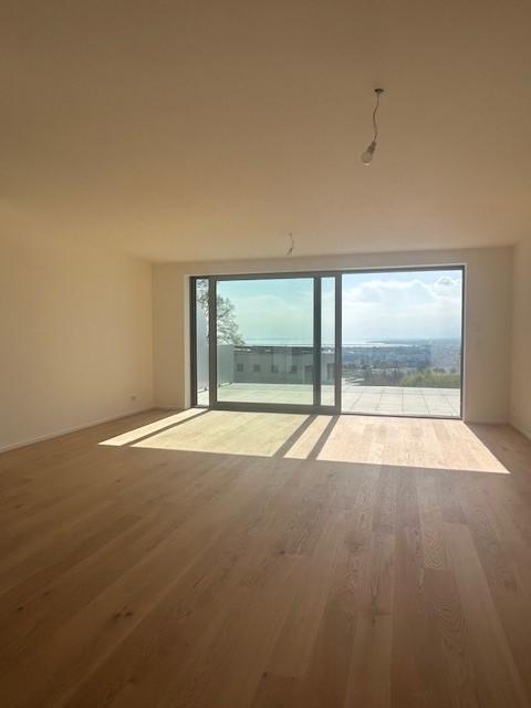 2.5 pièces en attique avec grande terrasse et vue sur le lac