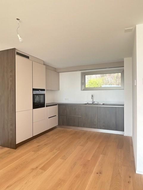 2.5 pièces en attique avec grande terrasse et vue sur le lac