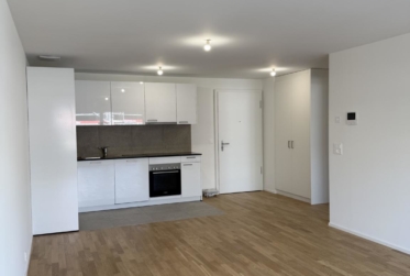Appartement neuf de 2.5 pièces à Lausanne