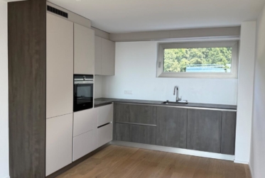 2.5 pièces en attique avec grande terrasse et vue sur le lac