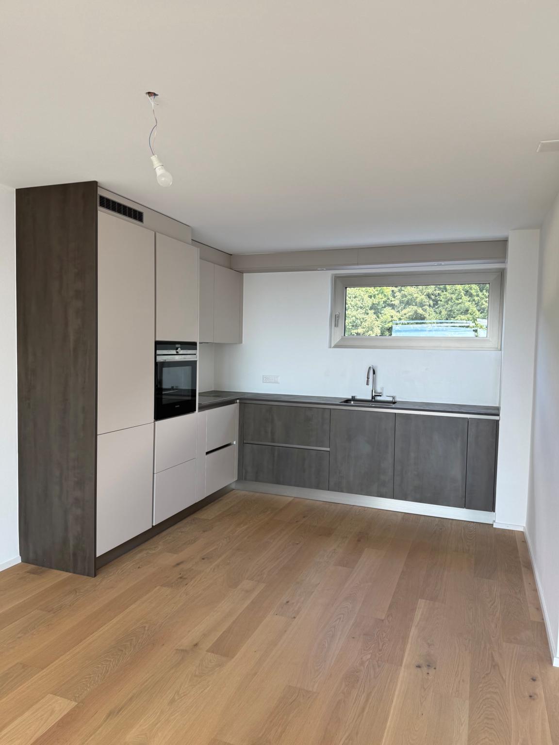 2.5 pièces en attique avec grande terrasse et vue sur le lac