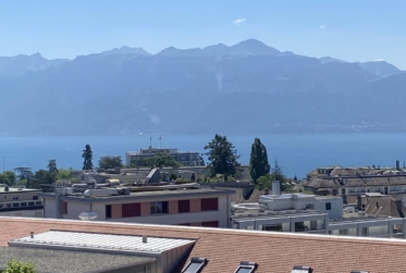 Magnifique appartement de 4 pièces entièrement rénové avec belle terrasse