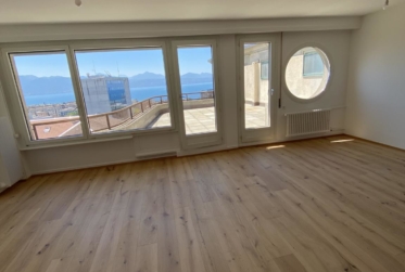 Magnifique appartement de 4 pièces entièrement rénové avec belle terrasse