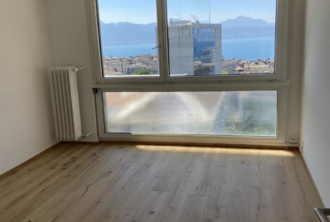 Magnifique appartement de 4 pièces entièrement rénové avec belle terrasse